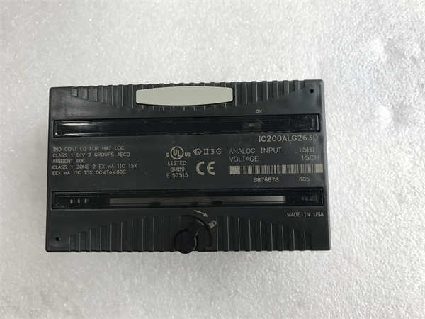 IC200ALG263D