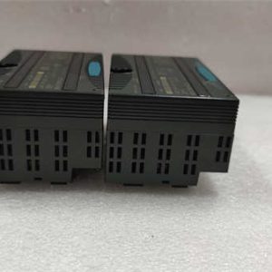 IC200MDL742