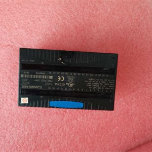 IC200ALG264H