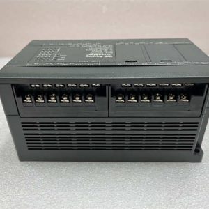 IC200UDR005
