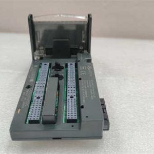 IC200CHS022