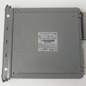 ICS TRIPLEX T8403