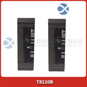 ICS TRIPLEX T8110B ESD/SIS 系统主控制单元