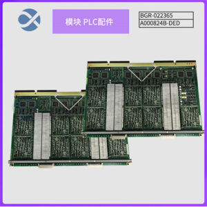BGR-022365 A000824B-DED 工业过程参数智能计算模块
